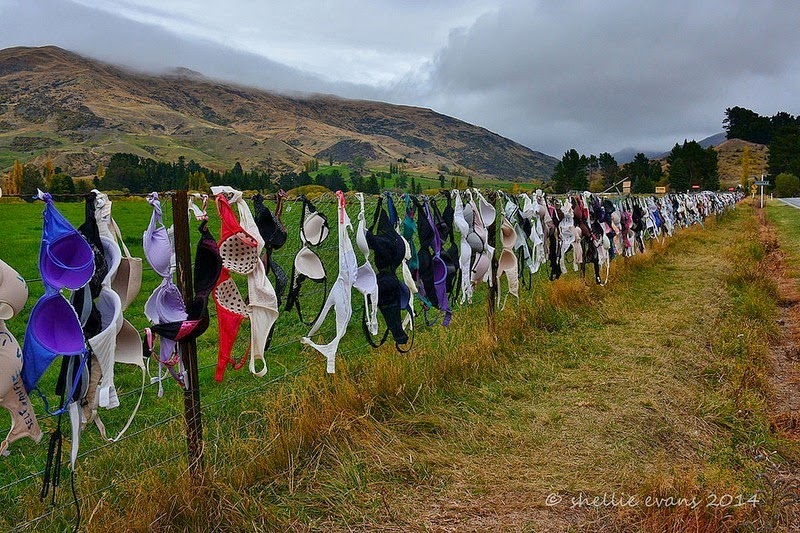 cardrona-bra-fence-2 cardrona-bra-fence-2