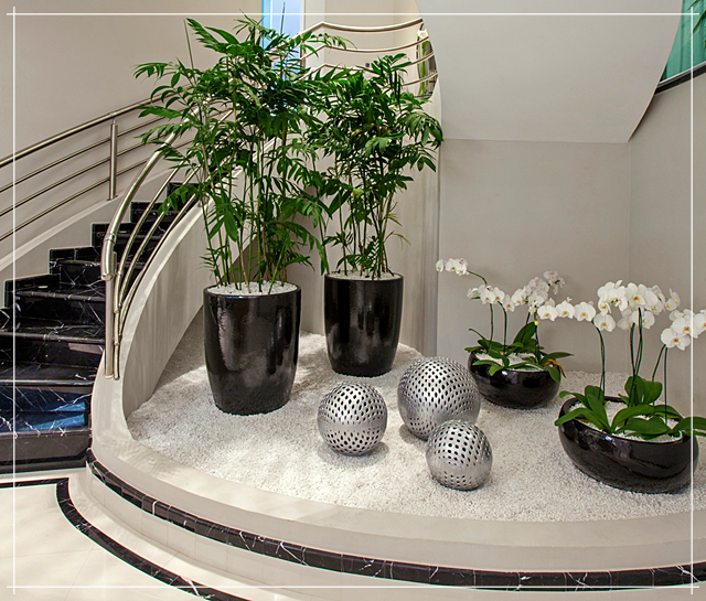 3 Jenis Tanaman Untuk Taman Dalam Rumah Menurut Feng Shui 3 Jenis Tanaman Untuk Taman Dalam Rumah Menurut Feng Shui