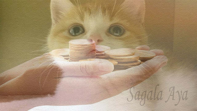 kucing
