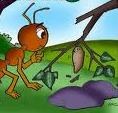 Semut dan Kepompong