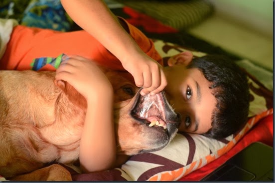 A Boy and his Dog 3