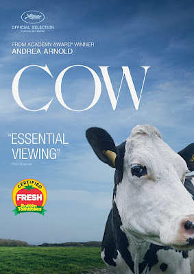 Cow 2021 Dvd