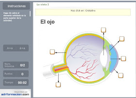 http://www.ceiploreto.es/sugerencias/florentino/laminas_interactivas/vista01/actividad.html