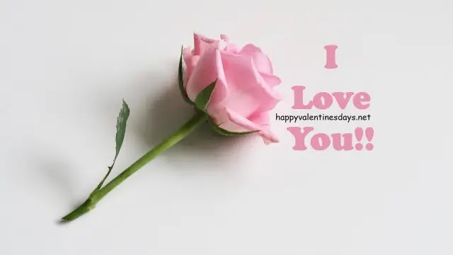 I Love You Images with Roses