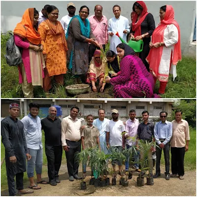 Trees Plantation By Teachers Of Anjuman Islamia Trust Jabalpur Madhya Pradesh