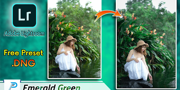 Preset Lightroom .DNG Emerald Green PC Free Download
