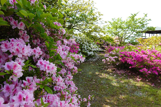 島根県松江市美保関町美保関 五本松公園