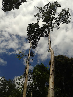 Khao Phra Thaew National Park Phuket