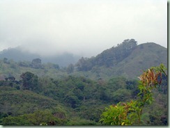 DSC00942