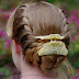 Easy Twisted Lace Braid Updo