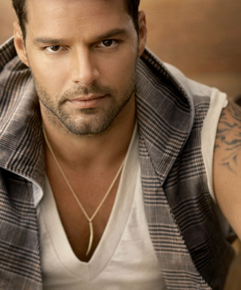 HollywoodNewscom The more interviews Ricky Martin gives the more I come 