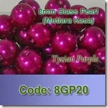 8GP20 copy