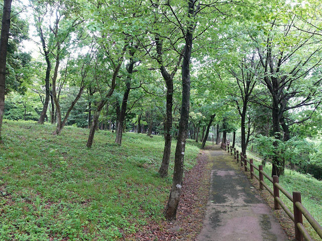 鳥取県西伯郡大山町妻木 鳥取県立むきばんだ史跡公園　弥生の森　遊歩道