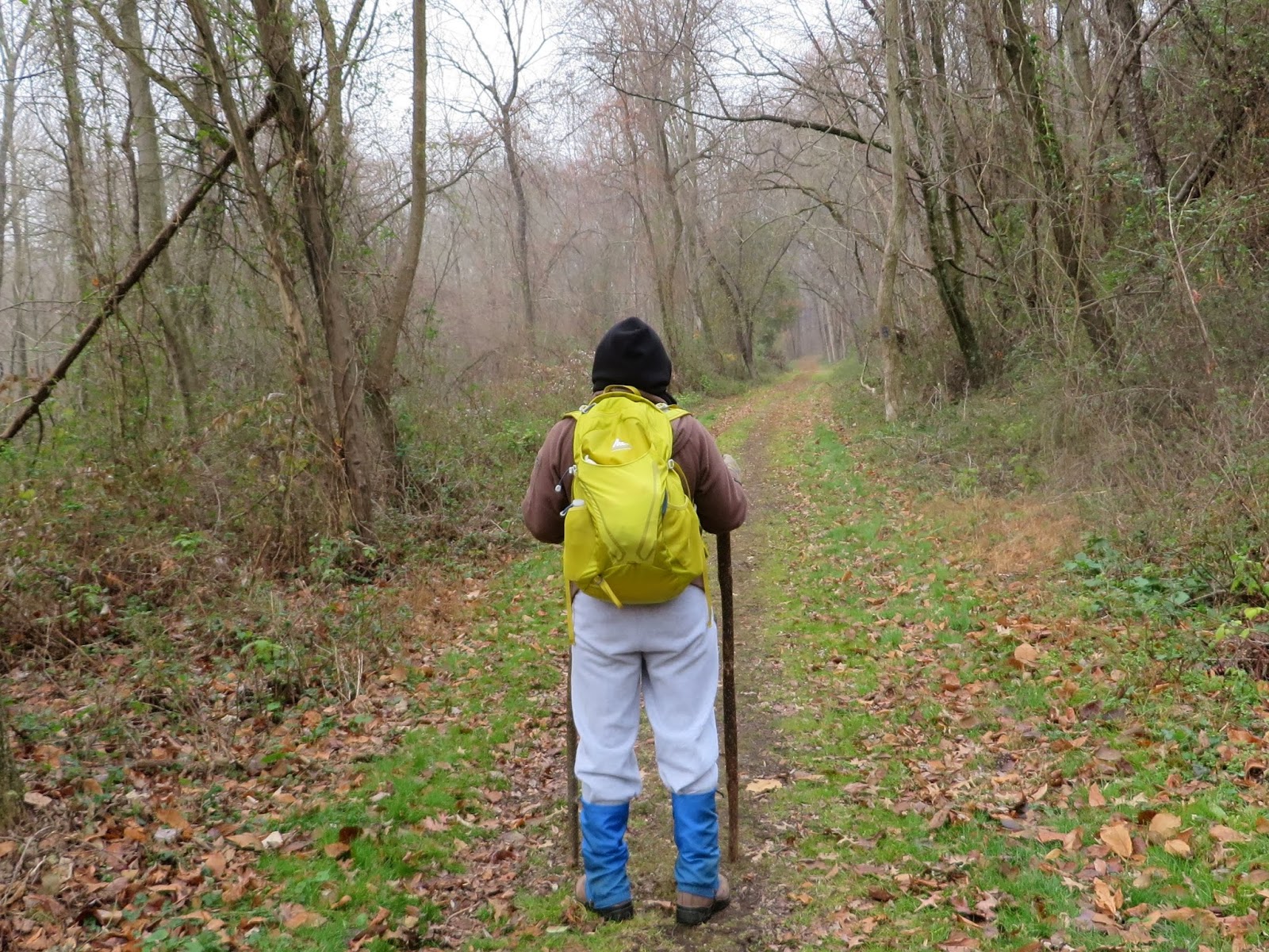 new daypack, Gregory Fury, she bought yesterday at REI in Conshohocken ...