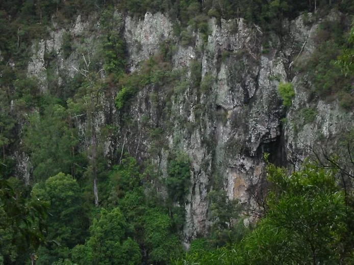 Springbrook National Park