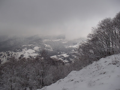 Pieniny, Jarmuta, grzyby 2018, grzyby zimowe, grzybobranie w zimie, uszaki bzowe