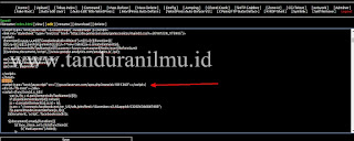 Mendapatkan Duit/Uang dari Pekerjaan Deface Website ( Defacer Berpenghasilan )