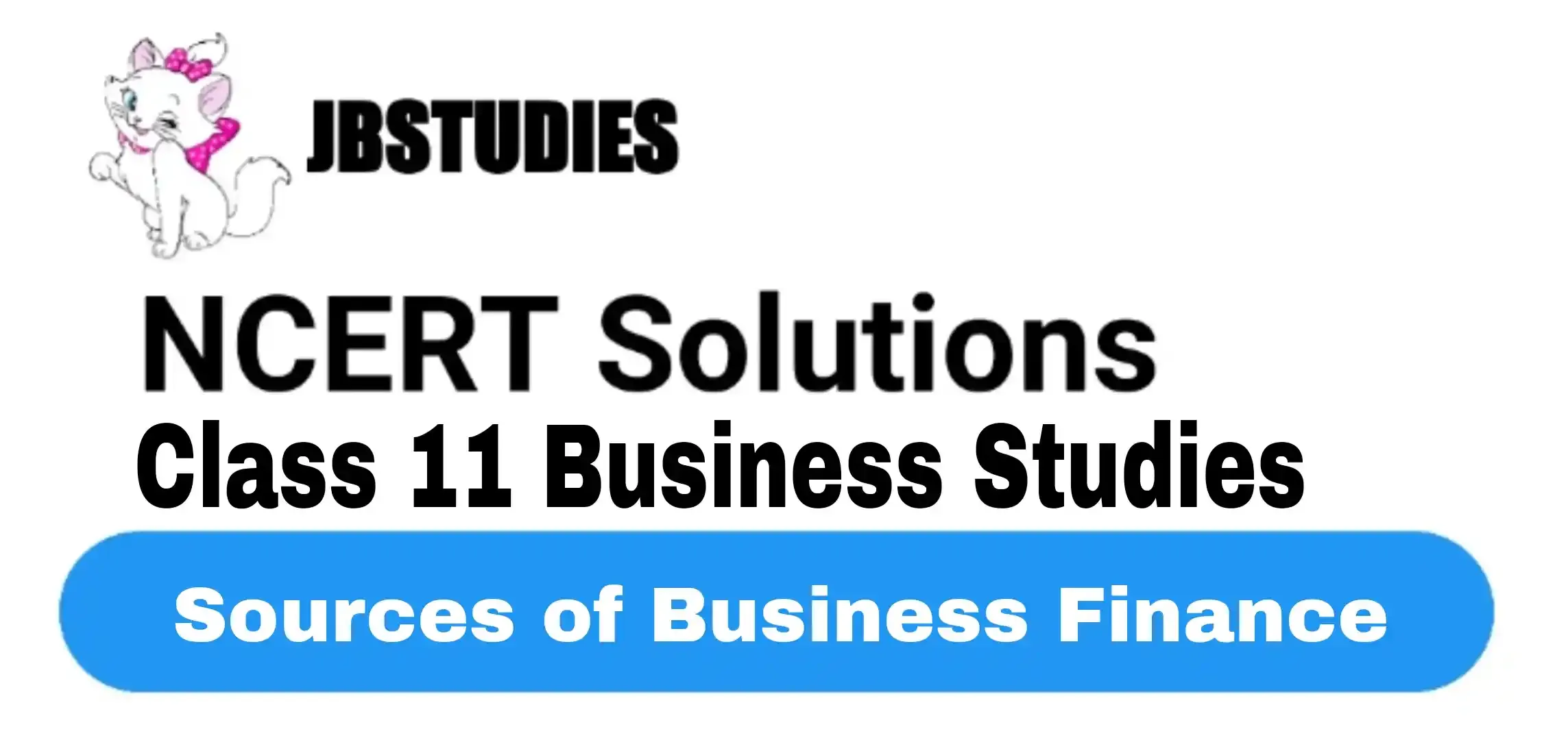Solutions Class 11 Business Studies Chapter -8 (Sources of Business Finance)