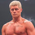 WWE opõe-se a tentativas de direitos de Cody Rhodes