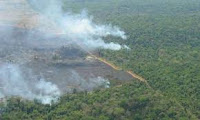  A AMAZÔNIA PEDE SOCORRO!!!!!!!