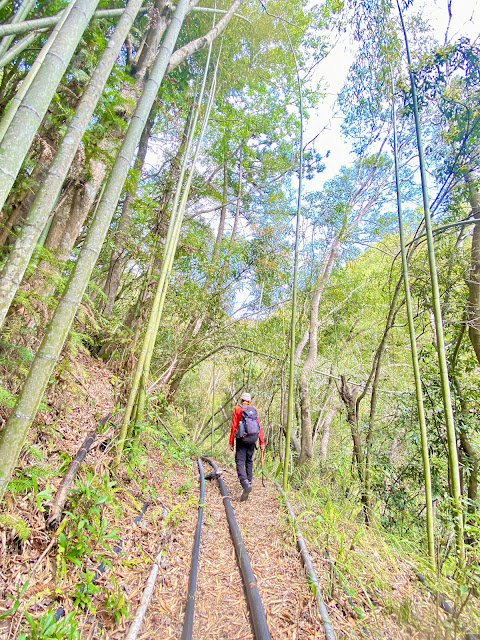 往紅香山--水管路