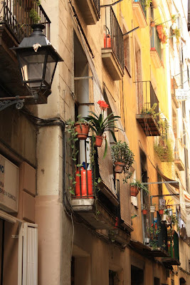 Carrer de'n Roca around Plaça del Pi