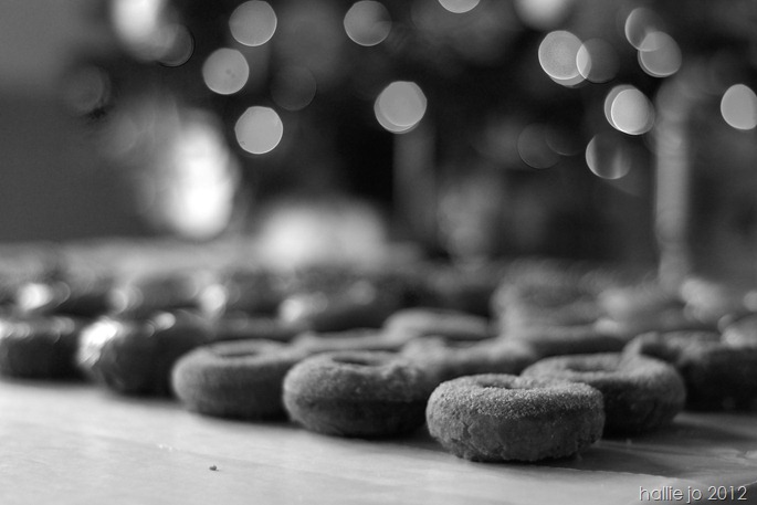 Donut16