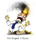 the stupid! it burns!