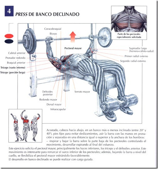 press-de-banco-declinado