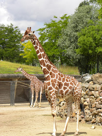 Artis Zoo Amsterdam