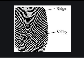 Fingerprint sensor- types
