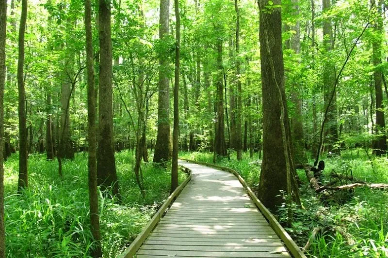 10 Amazing Places in South Carolina