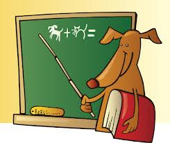 Dog Teaching