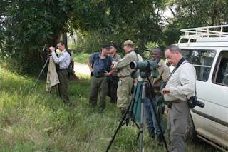 Birding And Gorilla Trekking Safari