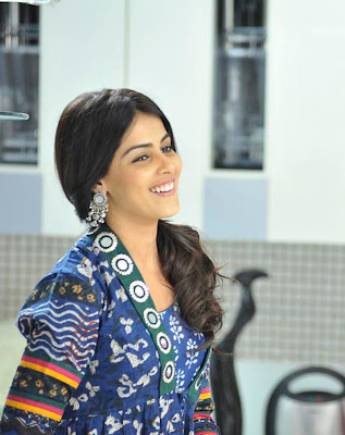 genelia in naa ishtam photo gallery