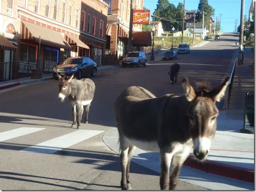CrippleCreekDonkeys