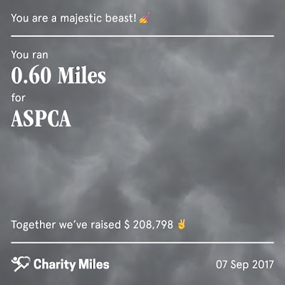 Cloudy walk with Sallie for Charity Miles (ASPCA)