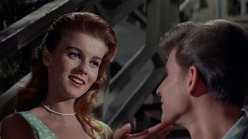 Bye Bye Birdie 1963 sans limit
