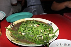 IMG_4250 IMG_4250