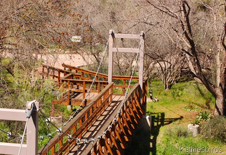 11. bridge-kab