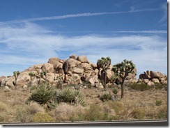 PA277236