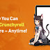 300X Crunchyroll Premium Accounts