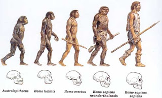 evolução humana instrumentos