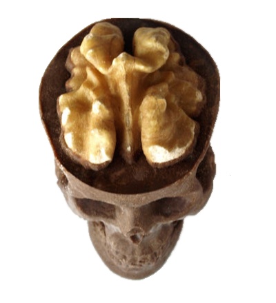 Chocolate skull gone nuts