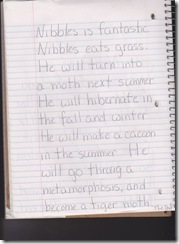 nibbles1