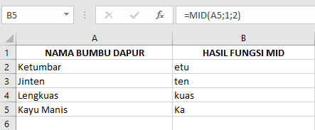 Langkah-Langkah Menggunakan Rumus Fungsi MID pada Microsoft Excel