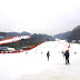 首爾團｜維瓦爾第公園滑雪世界私人包車一天團  Seoul Tour｜Vivaldi Park Winter Ski Private Tour