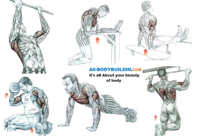 Arm Exercises