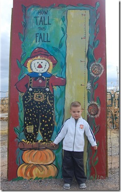 Galloping Grace Pumpkin Patch 034