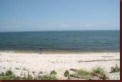 IMG_0786
